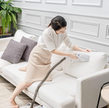IRIS OHYAMA RNS-300 Rinser/Carpet/Mattress/Sofa Cleaner, 2.84Kg, 19.6x29.4x41.2cm(LxWxH)