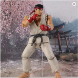 Bandai SH Figuarts SHF Street Fighter RUY Anime Action Figure Finished Model Kit