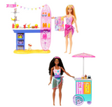 Barbie Malibu Brooklyn Doll Playset