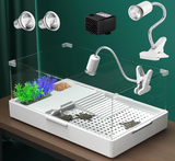 Turtle Aquarium With Light, Water Pump, and Platform - Reptile Habitat Tank With Plants for Pet Terrapin Lake (15.7''x11.8''x10'')