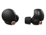 Sony WF-1000XM4 Noise Canceling Wireless Earbud Headphones with Alexa Built-in (Black)