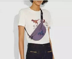 Coach 73940 Belt Bag With Rexy By Zhu Jingyi