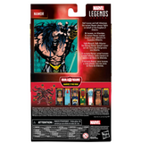 Marvel Legends Series Namor, Comics Collectible 6-Inch Action Figure