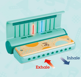 Hape Learn With Lights Harmonica Green