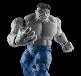 Hasbro Marvel Legends Series Gray Hulk and Dr. Bruce Banner, Avengers 60th Anniversary Collectible 6 Inch Action Figures, 6 Accessories