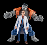 Hasbro Marvel Legends Series Gray Hulk and Dr. Bruce Banner, Avengers 60th Anniversary Collectible 6 Inch Action Figures, 6 Accessories