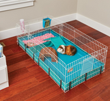 MidWest Homes for Pets 171GHP Guinea Habitat Plus - Guinea Pig Cage w/Top Panel, 47L x 24W x 14H Inches White/Teal