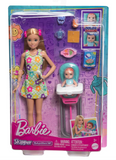 Barbie Skipper Doll and Playset
