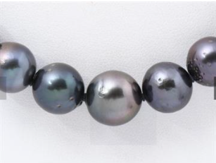 Black South Sea Pearl Necklace 7.4to11.9mm 49cm
