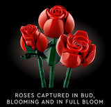 LEGO Botanicals 10328 Bouquet of Roses Building Set (822 Pieces),No Box, Total 6pack Still Sealed