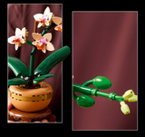 LEGO Botanicals Mini Orchid Plant Gift 10343 Building Blocks for 18+ Gift