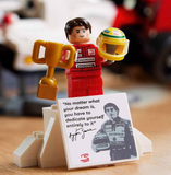 LEGO Icons McLaren MP4/4 & Ayrton Senna Model Car Set, F1 Racing Car Kit for Adults with Racer Mini Figure, Collectable, Birthday Gift Idea for Men, Women, Him & Her 10330