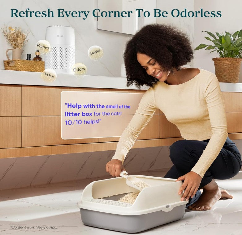 LEVOIT Air Purifiers for Bedroom Home, HEPA Filter Cleaner with Fragrance Sponge for Better Sleep, Filters Smoke, Allergies, Pet Dander, Odor, Dust, Office, Desktop, Portable, Core Mini, White Secondary image