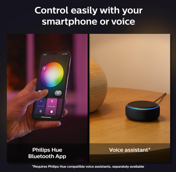 Philips Hue Xamento White and Color Ambience large ceiling light ,Waterproof, Smart Ceiling Light, black