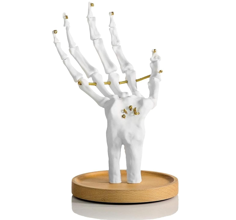 UK Skeleton Hand Ring Holder & Jewelry Stand Earring Organizer & Necklace Holder For Gothic Decor Halloween Decorations & Bedroom Accessories Bracelet Holder & Jewelry Organizer White