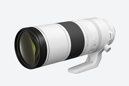 Canon RF 200to800mm f6.3to9 IS USM Camera Lens Grey