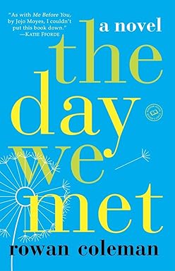 The Day We Met: A Novel Paperback Main image