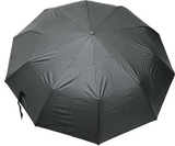 Folding Automatic Umbrella Shaine