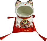 Coin Bank Fortune Cat