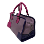 Loewe Amazona 28 Leather Handbag