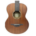 Custom Acoustic MJ2E Guitar