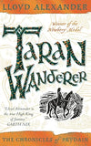 Taran Wanderer: 04 Paperback