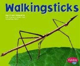 Walkingsticks Library Binding