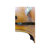 Synwin Walter Mahr II Violin