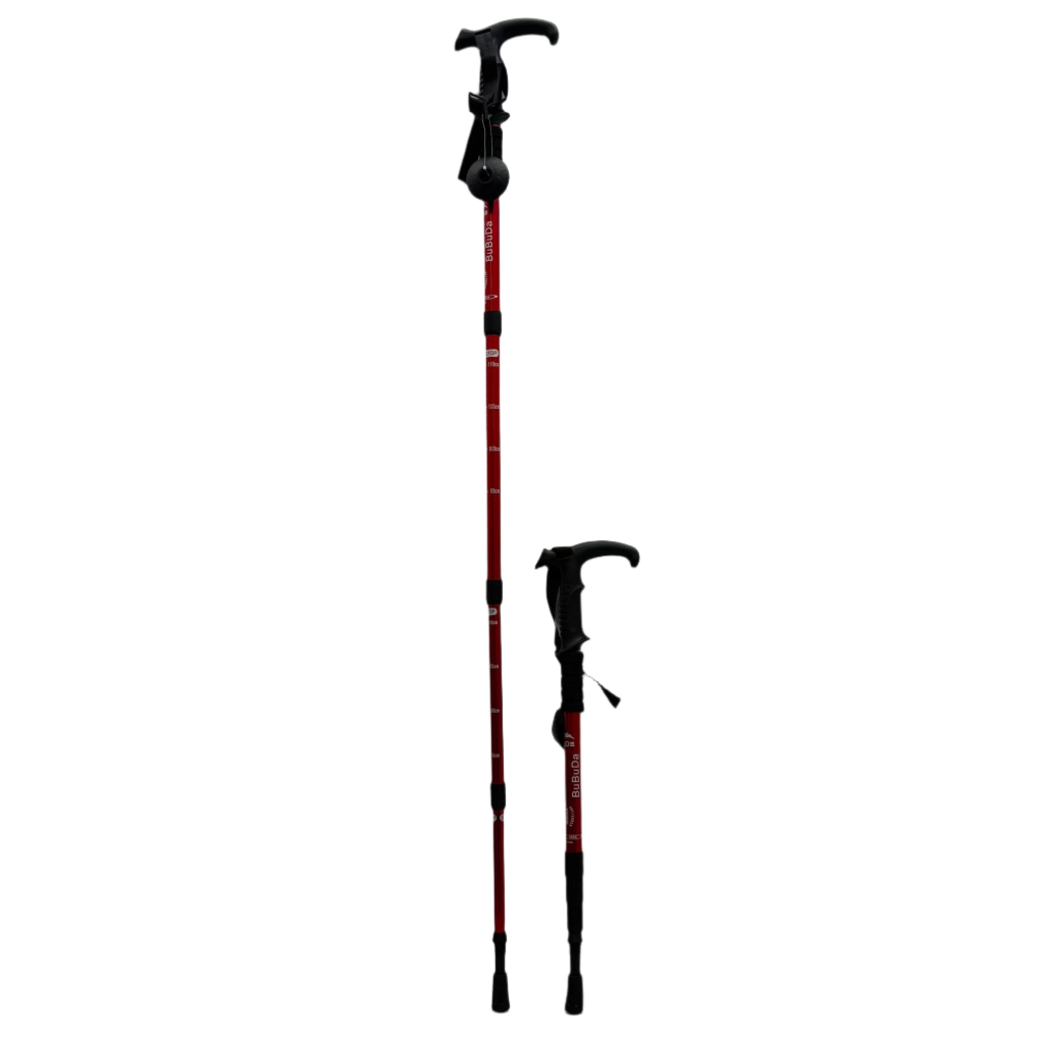 Extendable Hiking Stick