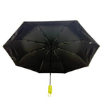 Umbrella With Loop Handle