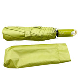 Umbrella With Loop Handle