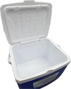 Cooler Box – 13L (0132)