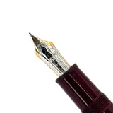 Montblanc 14K Nibs Fountain Pen w/Case