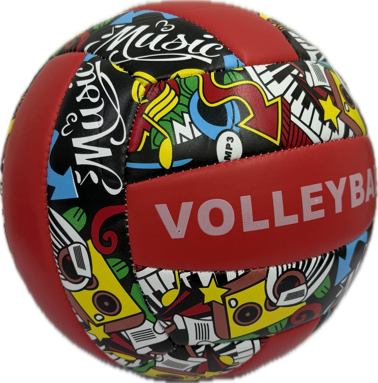Volleyball Size 5 with Red & Blue Graphic Design Main image