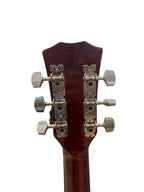 Jizhilin Acoustic Electric Guitar