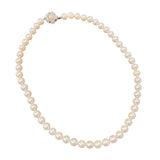 Akoya Pearl=7.4-7.8mm Necklace w/Silver Clasp, Length:44cm