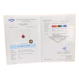 18KWG Ruby=1.7cts, Diamond 0.2cts Pendant w/Chain And Cert