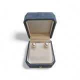 South Sea Pearl Earring