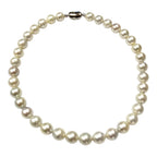 White South Sea Pearl=10.1-11.9mm Silver Clasp w/Cert