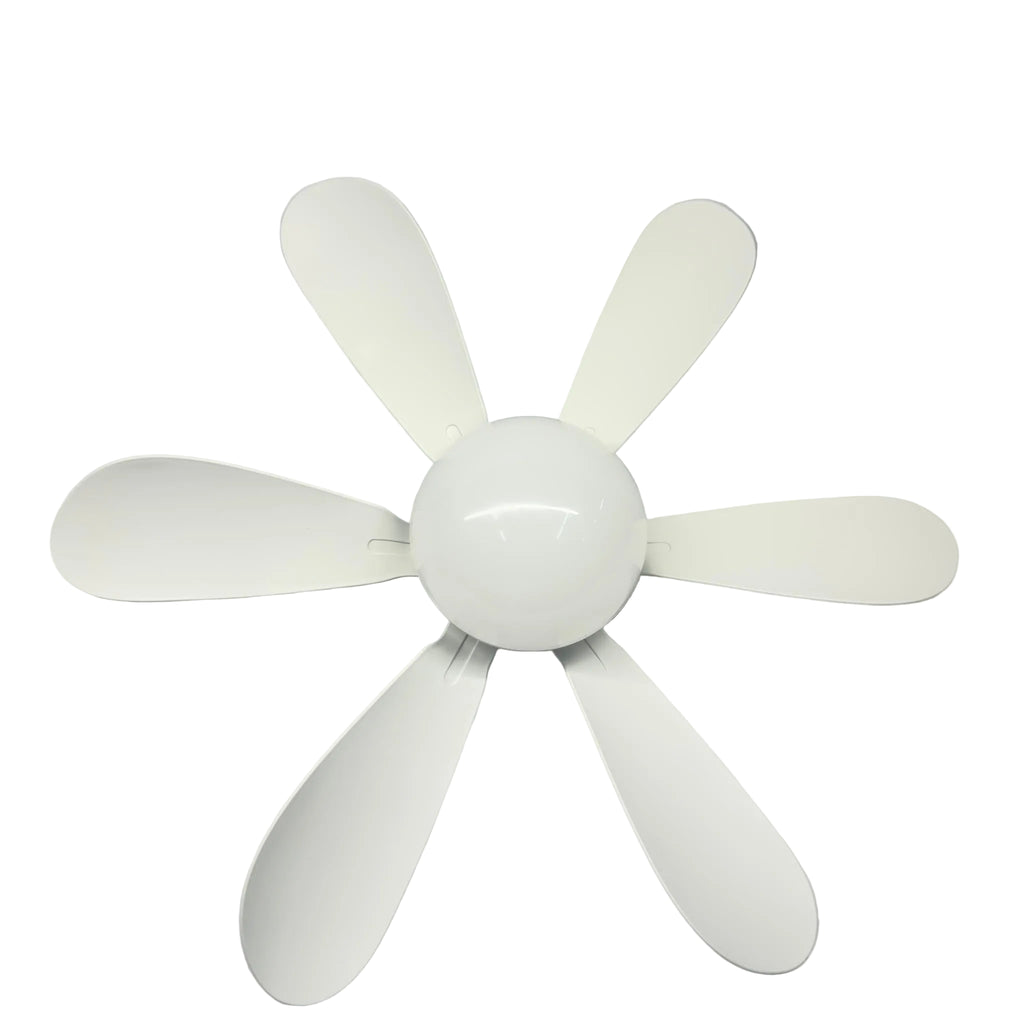 E27 Fan with LED Translucent Cover - 901