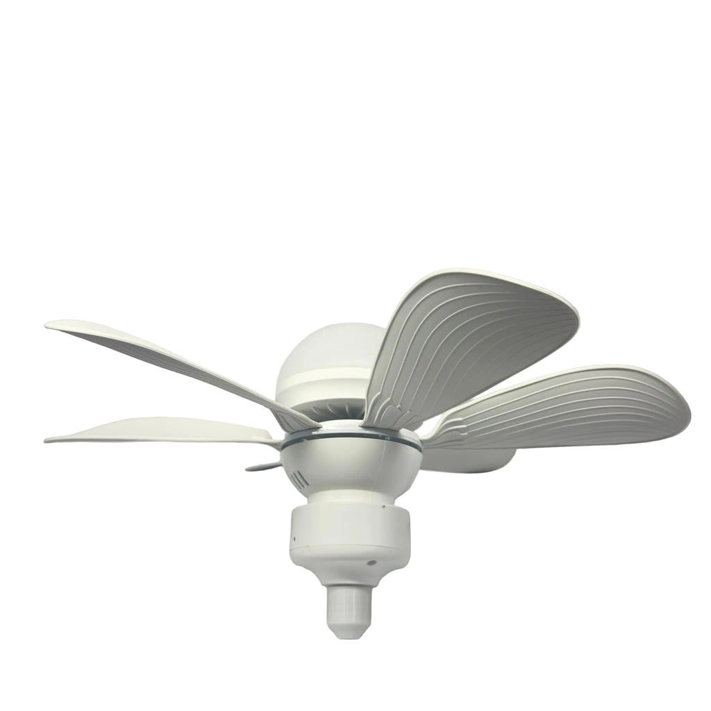 E27 Fan with LED Translucent Cover - 901