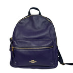 Coach F30550 Plain Leather Backpack Bag