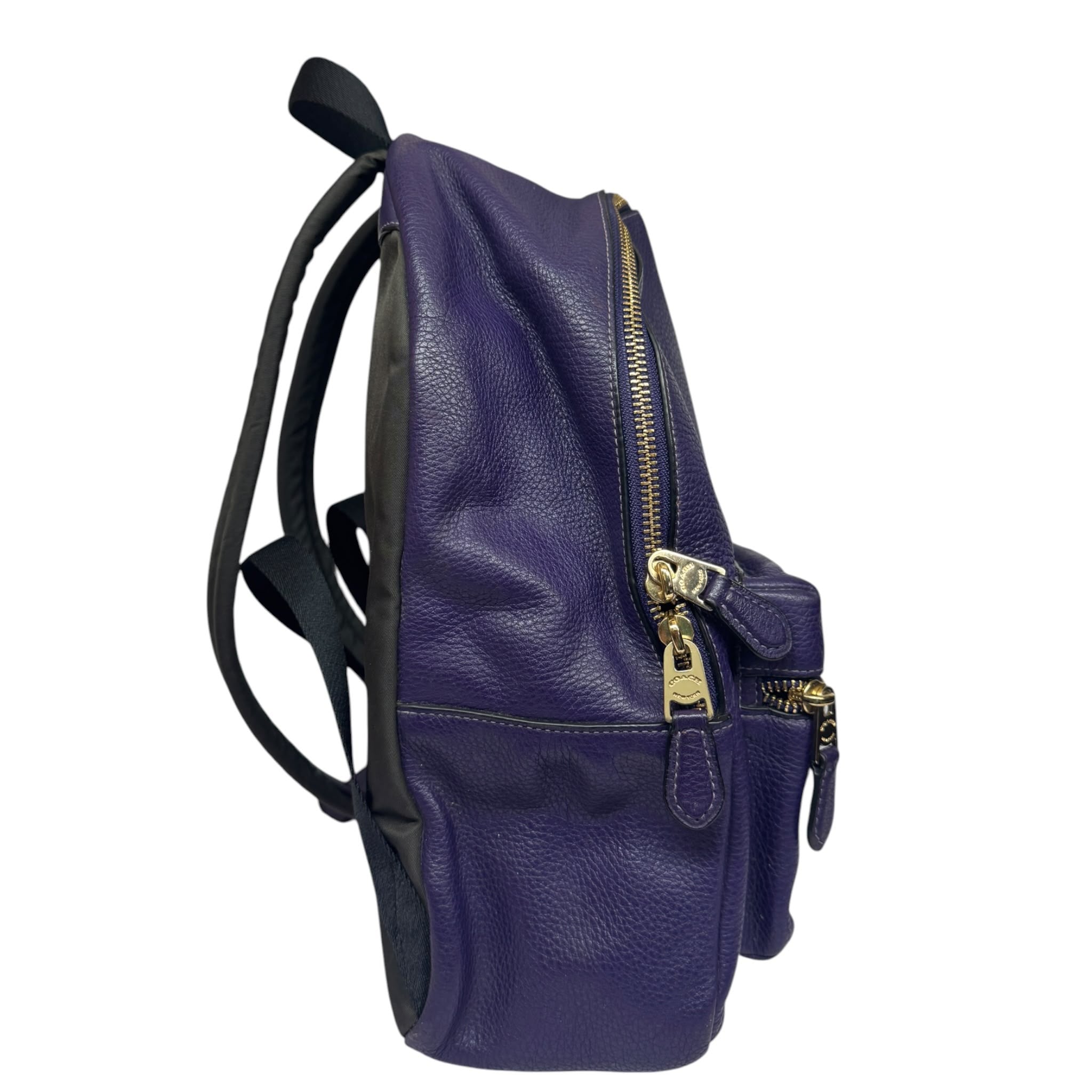Coach F30550 Plain Leather Backpack Bag