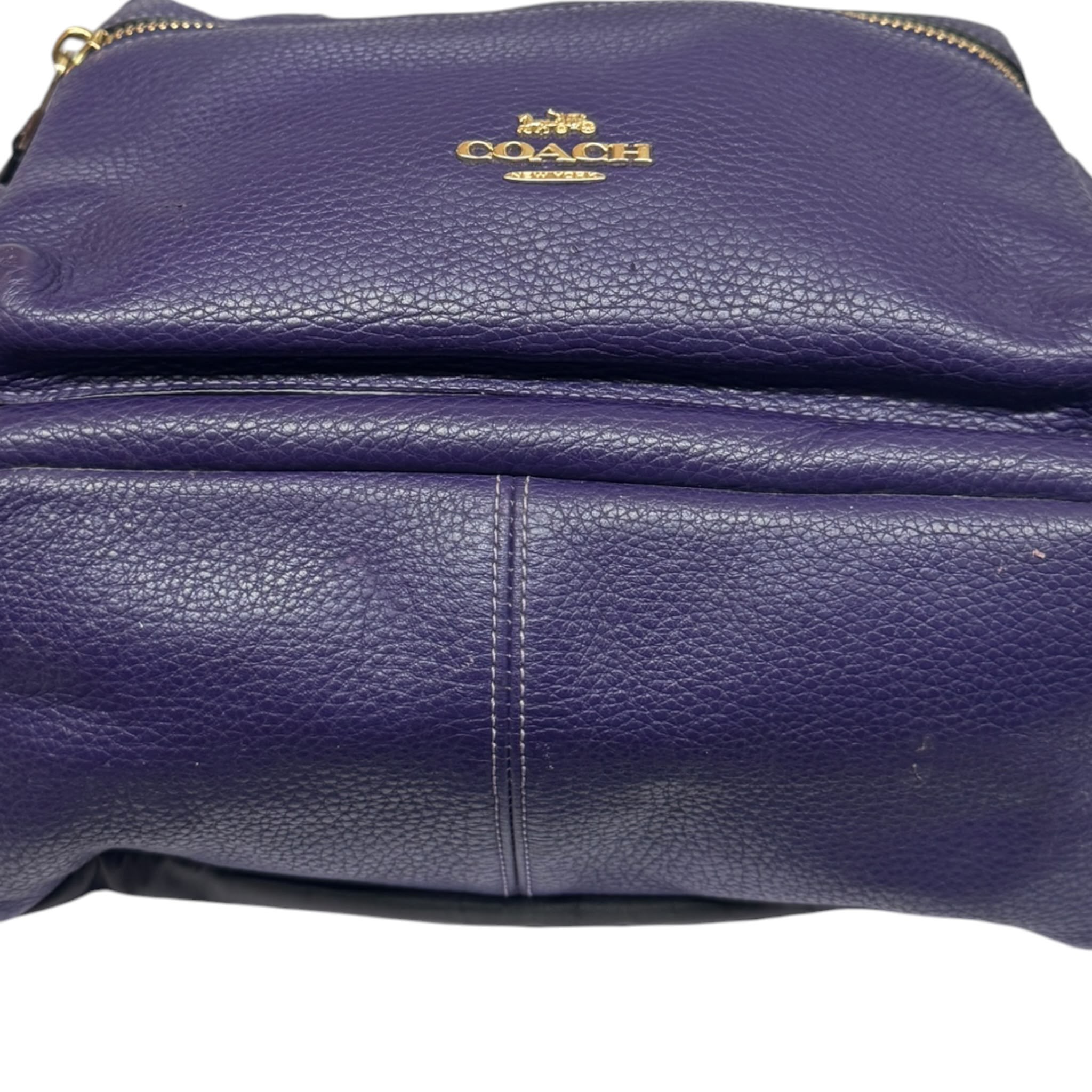 Coach F30550 Plain Leather Backpack Bag
