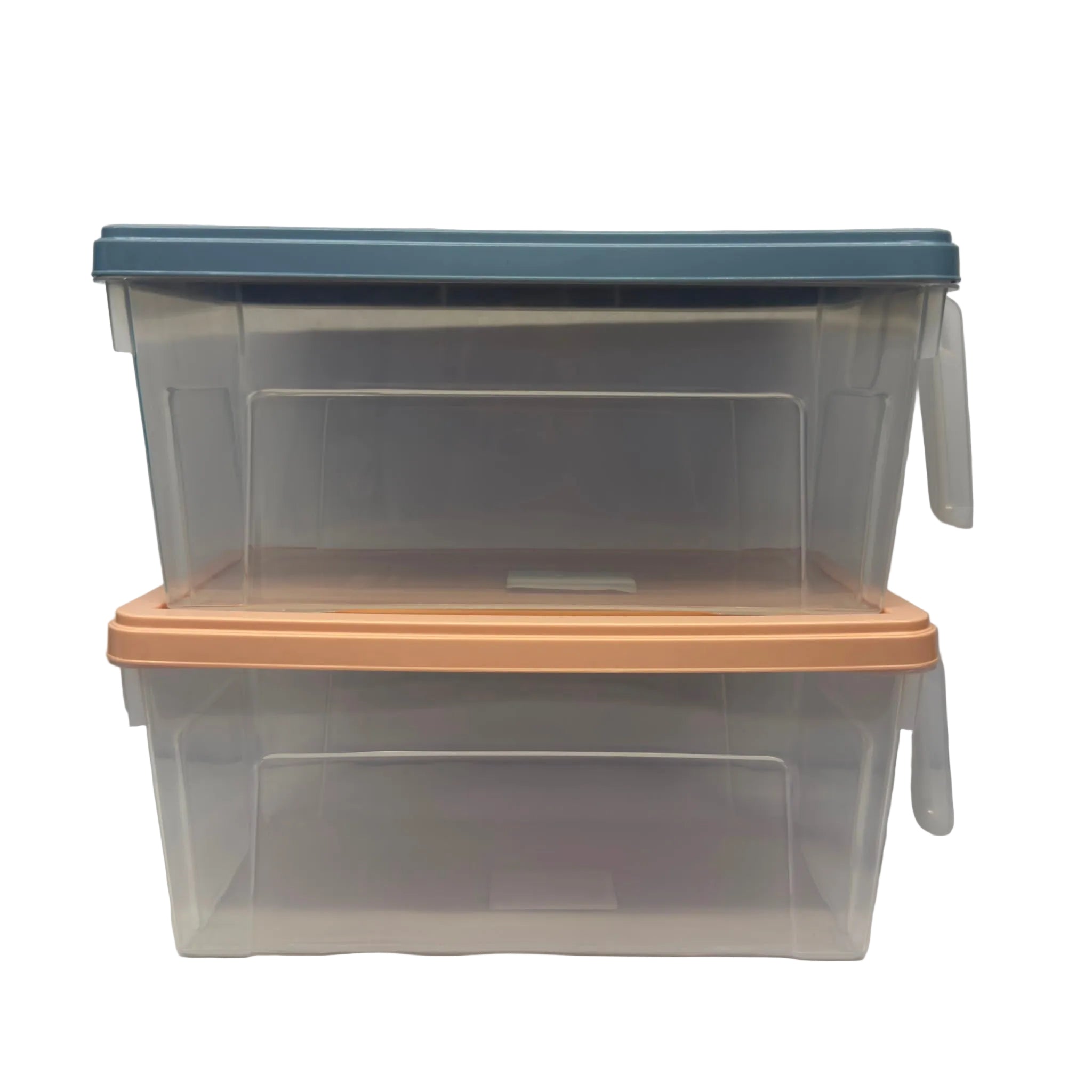 Medium Fridge Storage Box with Lid & Handle - J52-0324