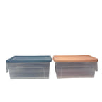 Medium Fridge Storage Box with Lid & Handle - J52-0324