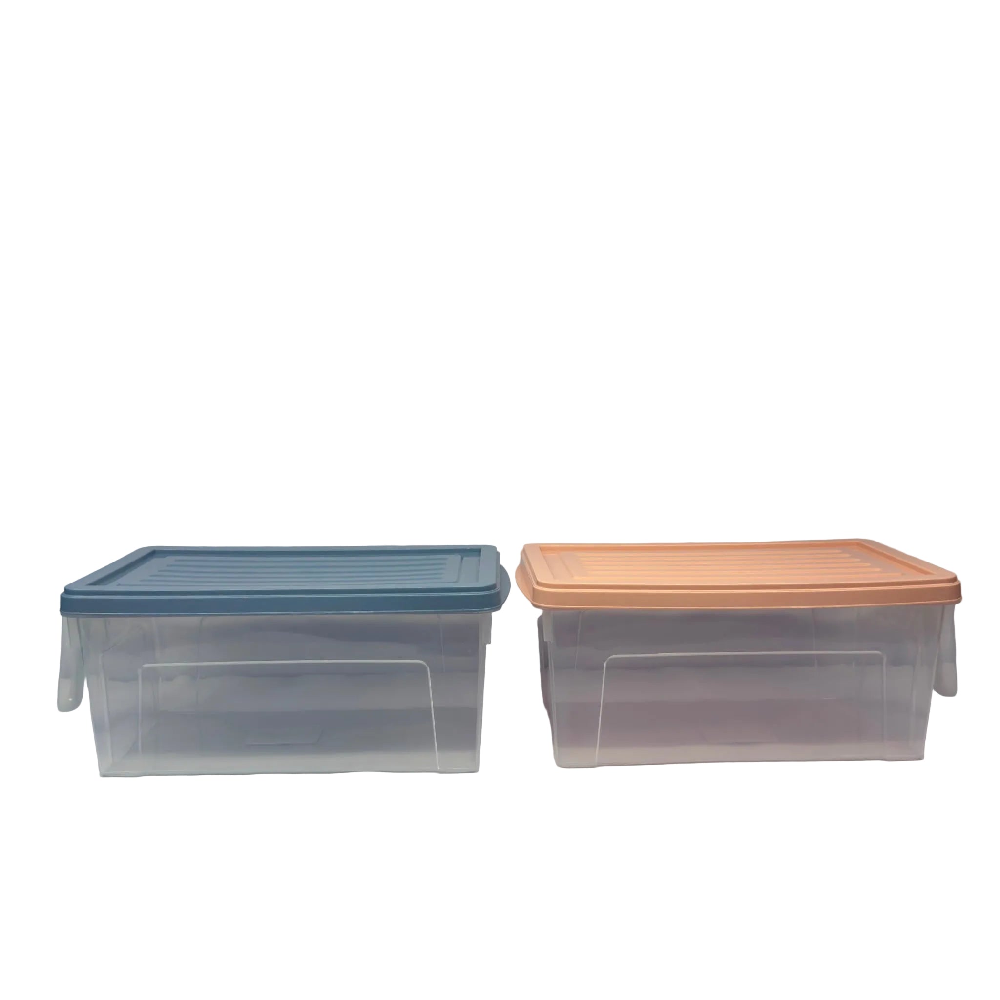 Medium Fridge Storage Box with Lid & Handle - J52-0324