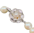 Pearl 7.0-7.4mm Necklace With Silver Clasp