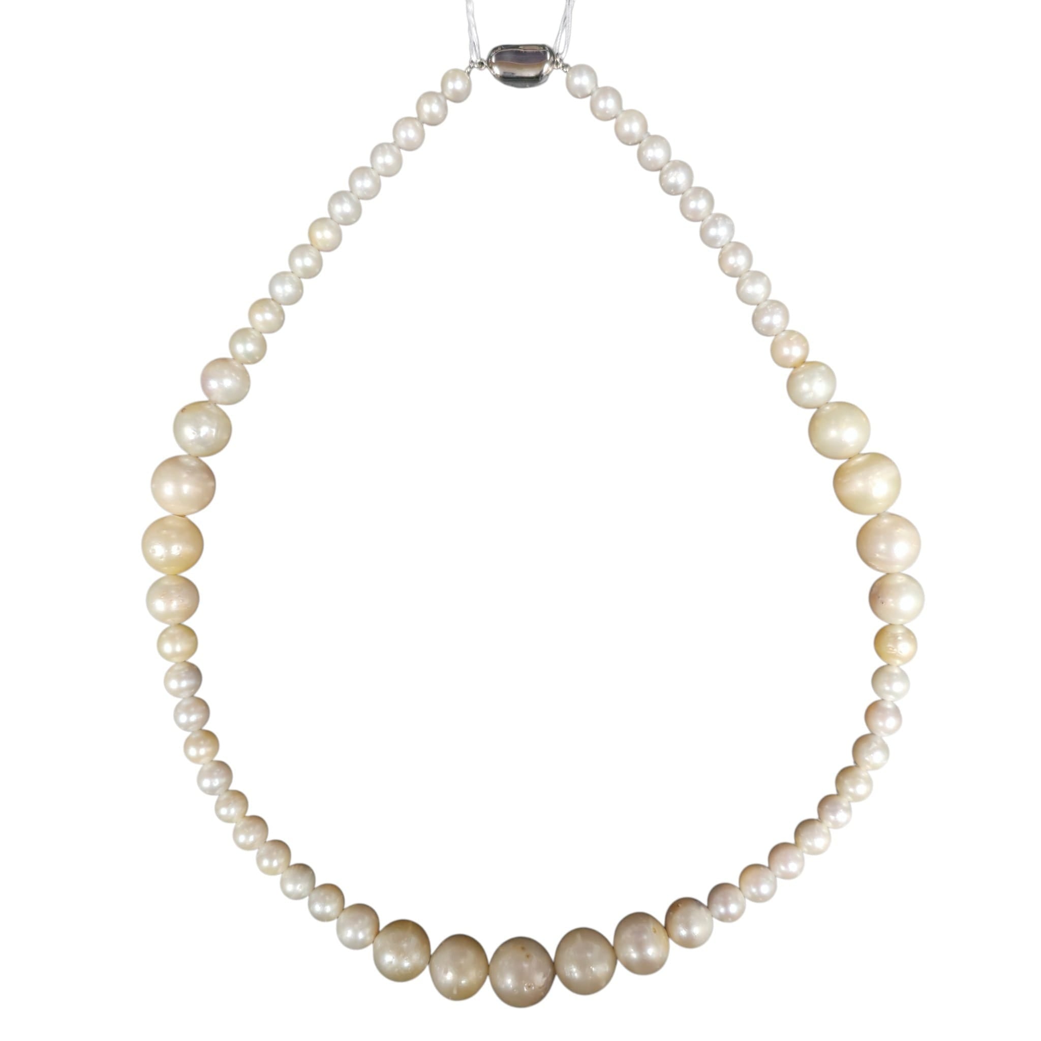 White Pearl Necklace 54CM
