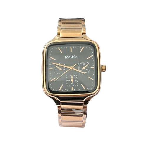 DI NUO 5853G Black Dial Water Resistant Watch Main image
